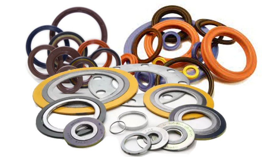 Gaskets & Seals